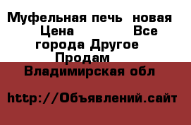 Муфельная печь (новая)  › Цена ­ 58 300 - Все города Другое » Продам   . Владимирская обл.